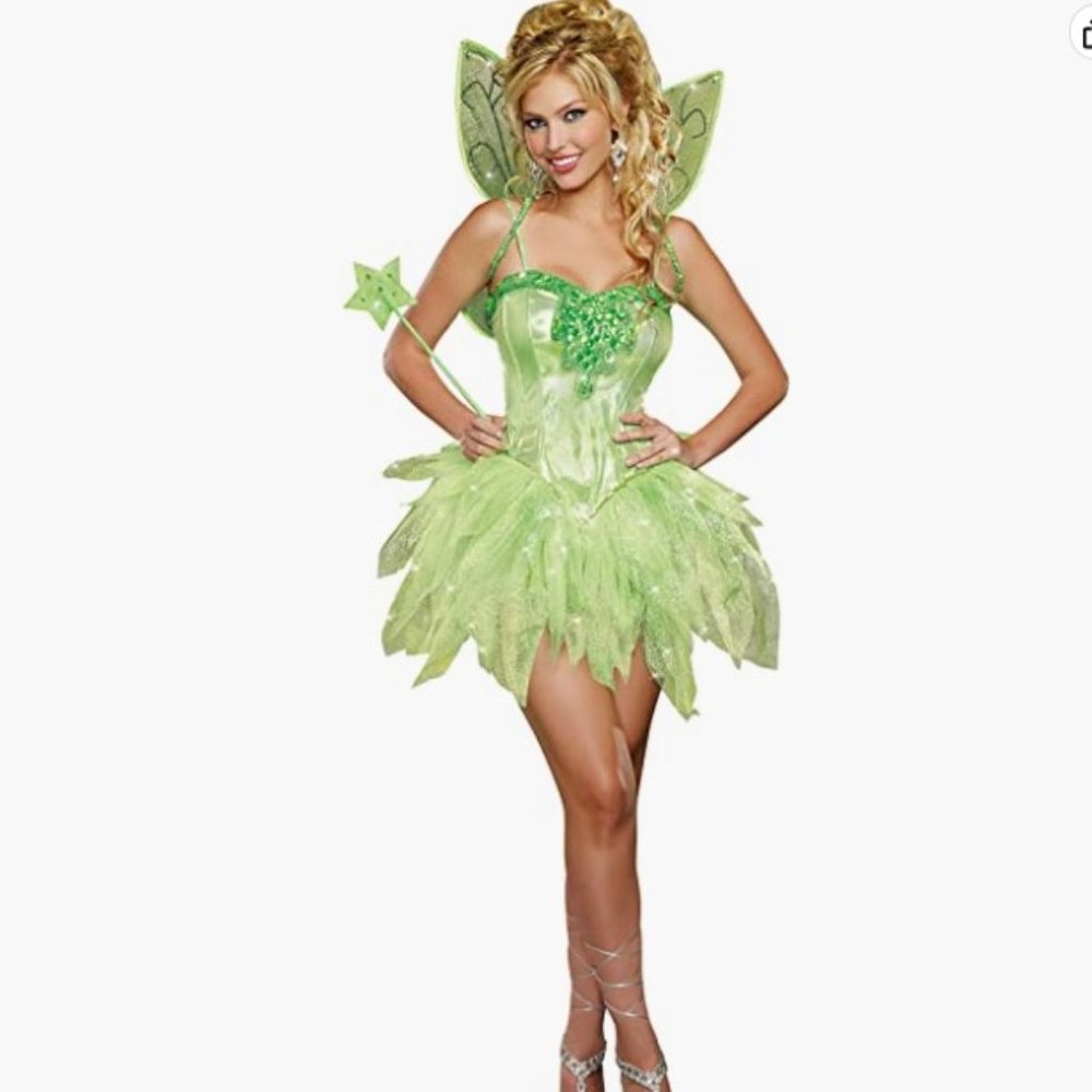 Dreamgirl Women's Fairy-Licious Costume New In Package *AVAILABLE*